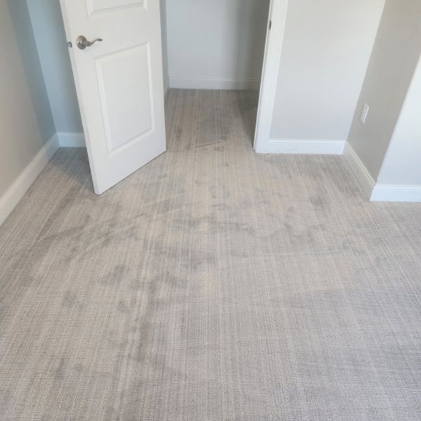 beige carpets in a small bedroom and closet